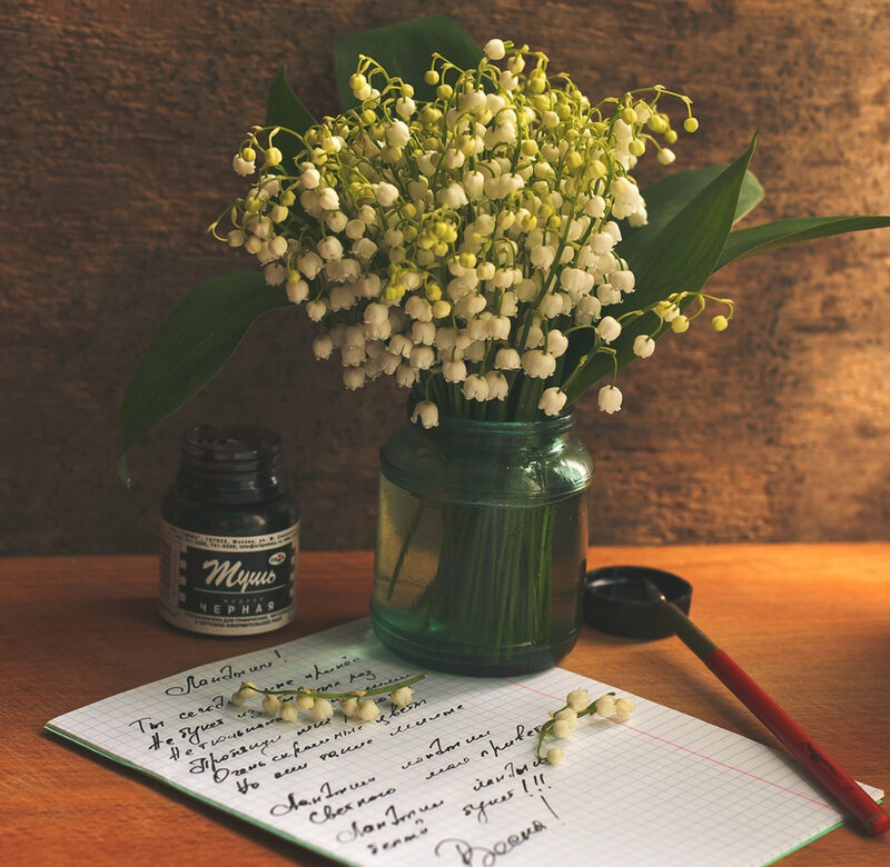 Lily of the Valley Flowers — Green, Serene, Spring, Photograph, Vase, Notebook