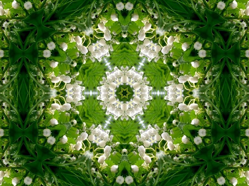 Lily of the Valley Flowers — Green, Symmetrical