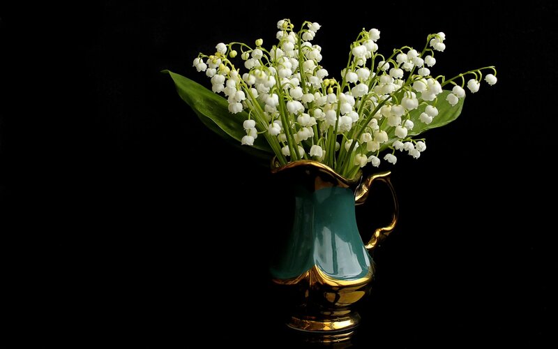 Lily of the Valley Flowers — White, Dramatic, Photograph, Vase, Black Background