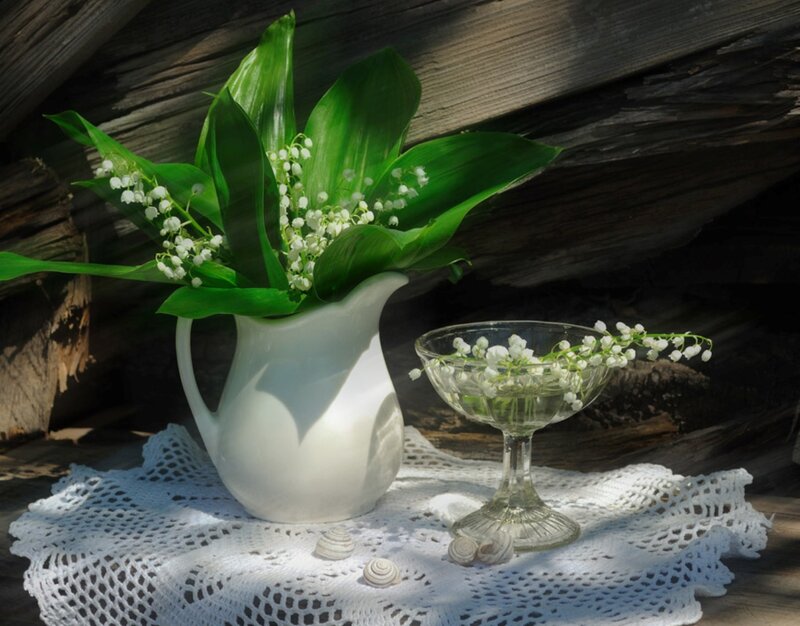 Lily of the Valley Flowers — White, Serene, Afternoon, Photograph, Pitcher