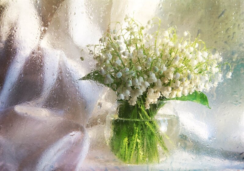 Lily of the Valley Flowers — White, Serene, Spring, Photograph, Vase, Raindrops