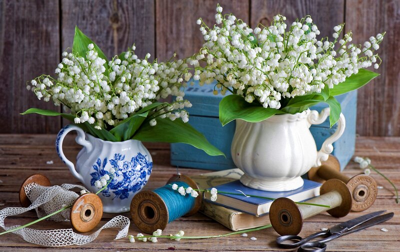 Lily of the Valley Flowers — White, Serene, Spring, Photograph, Vases, Spools, Books