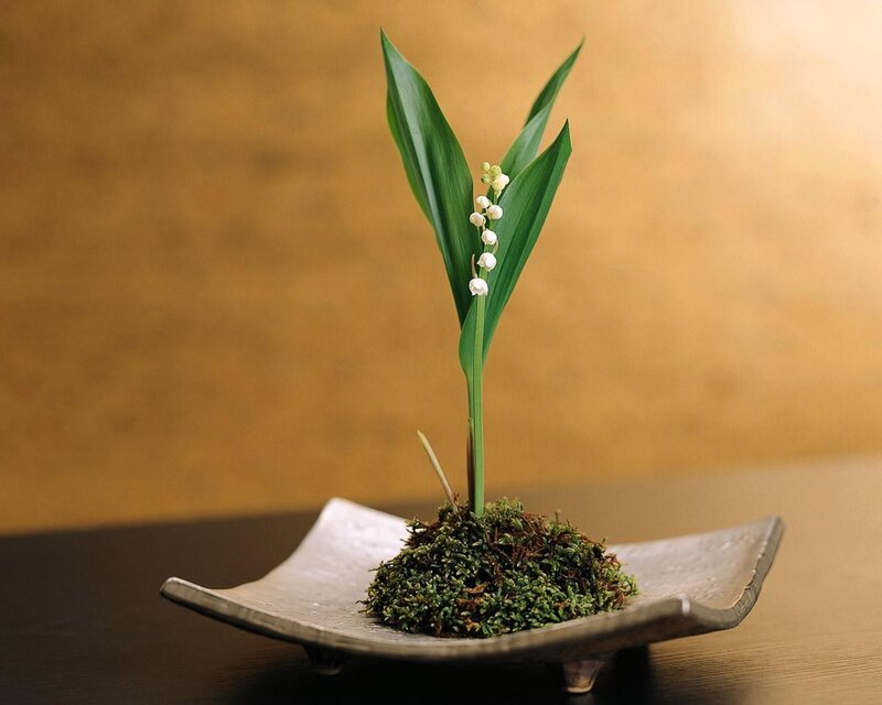 Lily of the valley in a dish