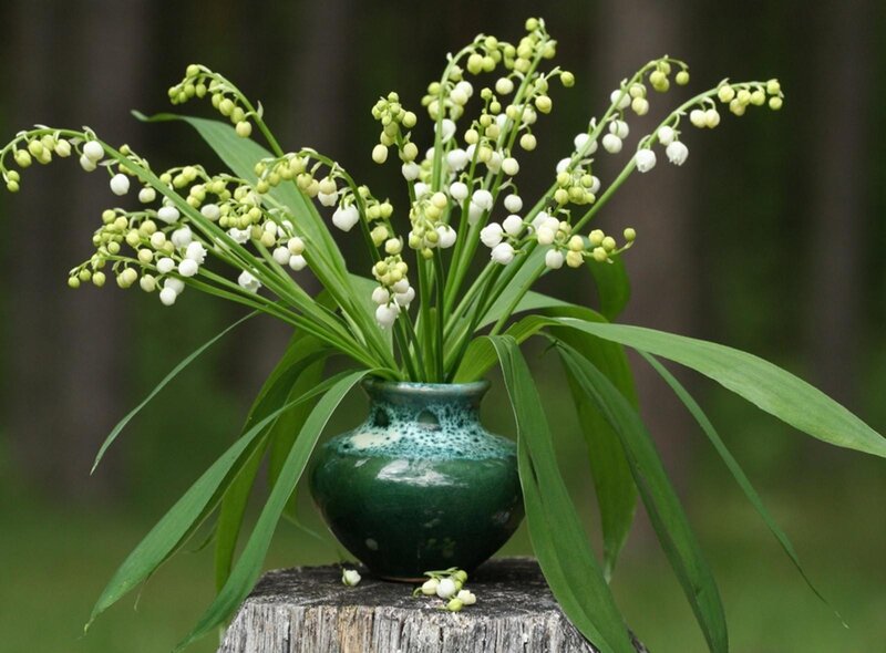 Lily of the valley in a green vase