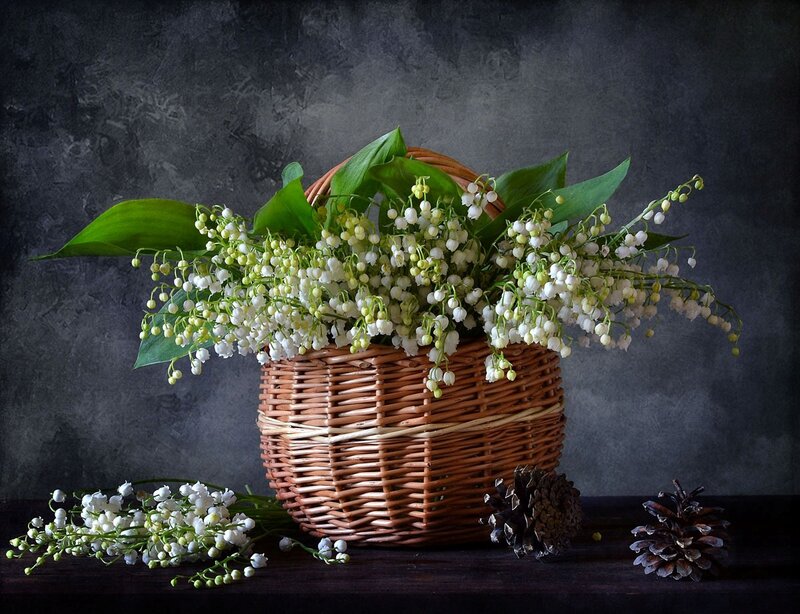 Lily of the Valley in Basket
