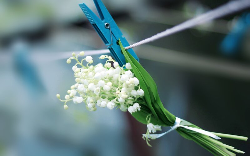 Lily of the valley on a clothesline