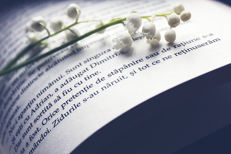 Lily of the Valley on Book