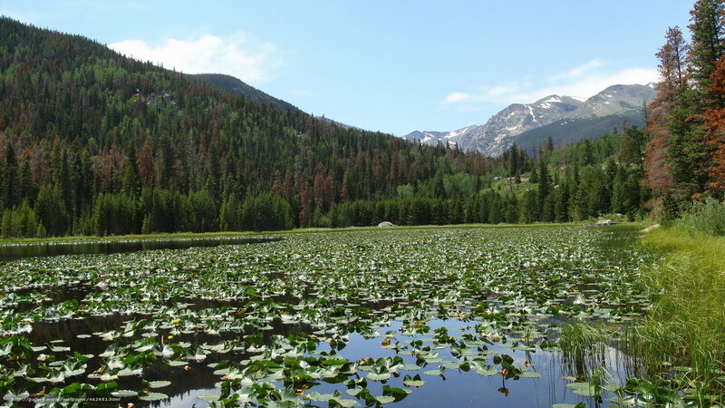 Lily pad lake in mountain valley