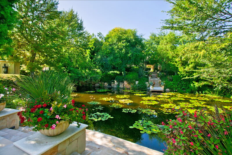 Lily Pad Pond Garden