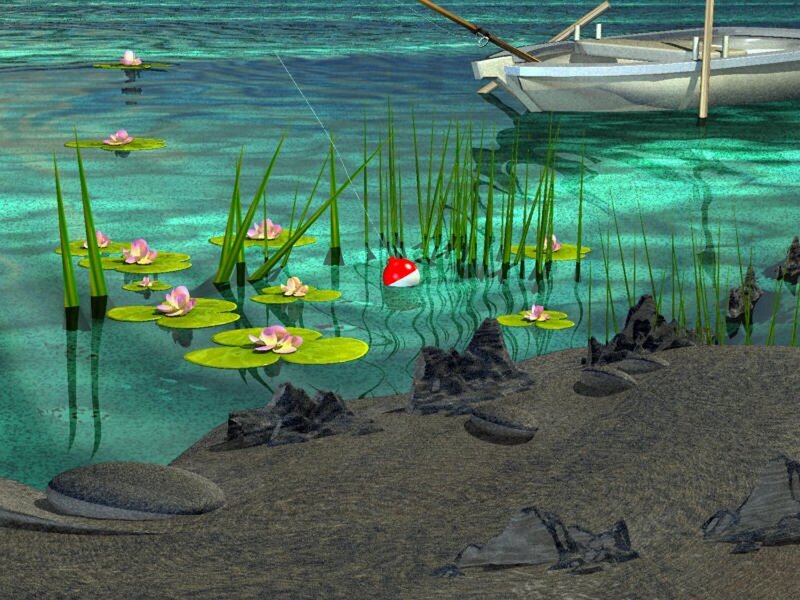Lily pads and fishing boat