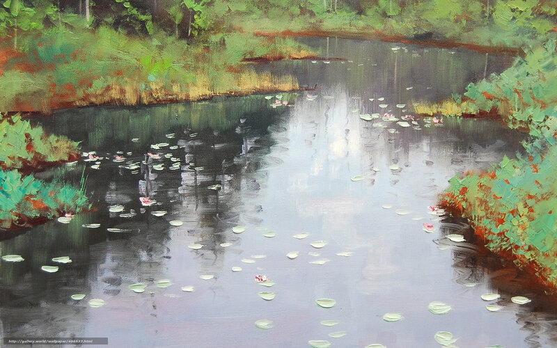 Lily pads on a calm pond
