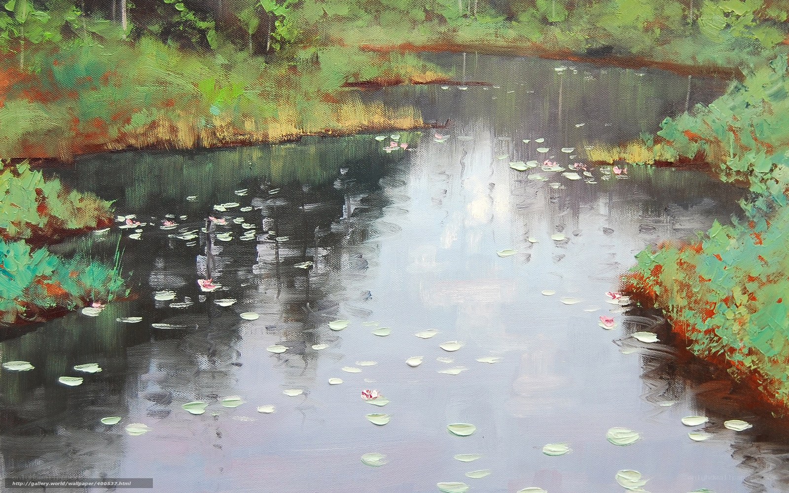 Lily pads on a calm pond
