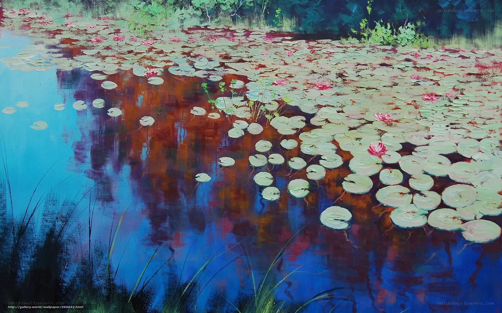 Lily pads on a tranquil pond