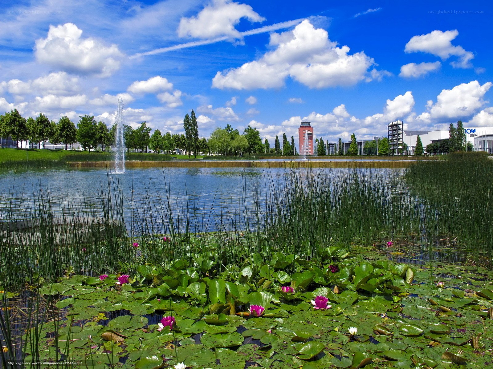 Lily pond with fountain and buildings