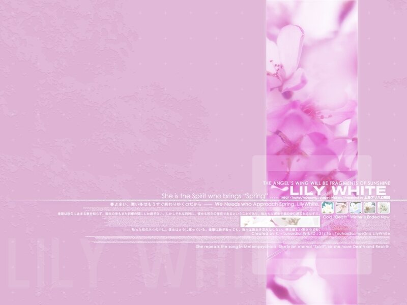 Lily White wallpaper