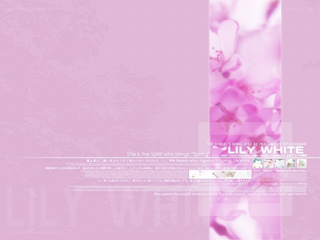 Lily White wallpaper