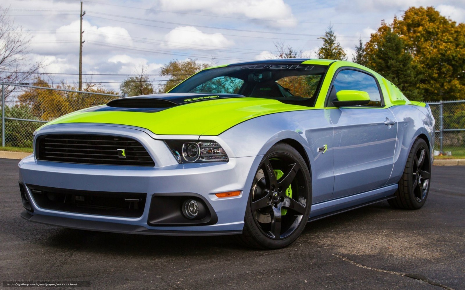 lime green and blue mustang