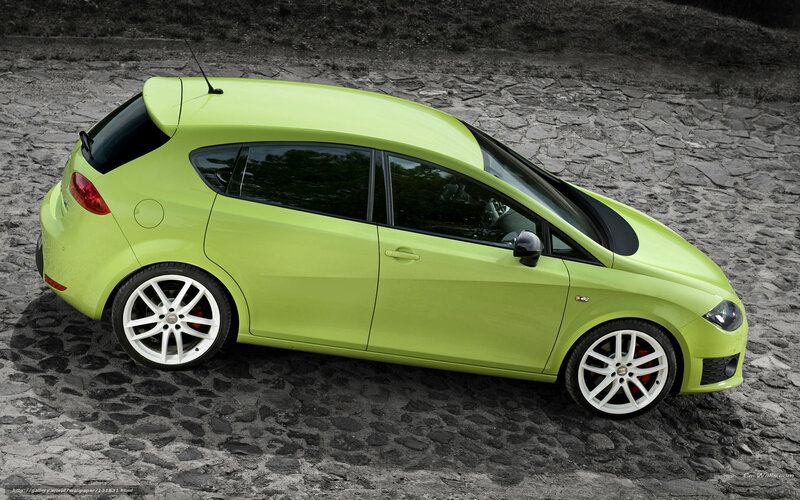 Lime Green Car — Lime Green, Neutral