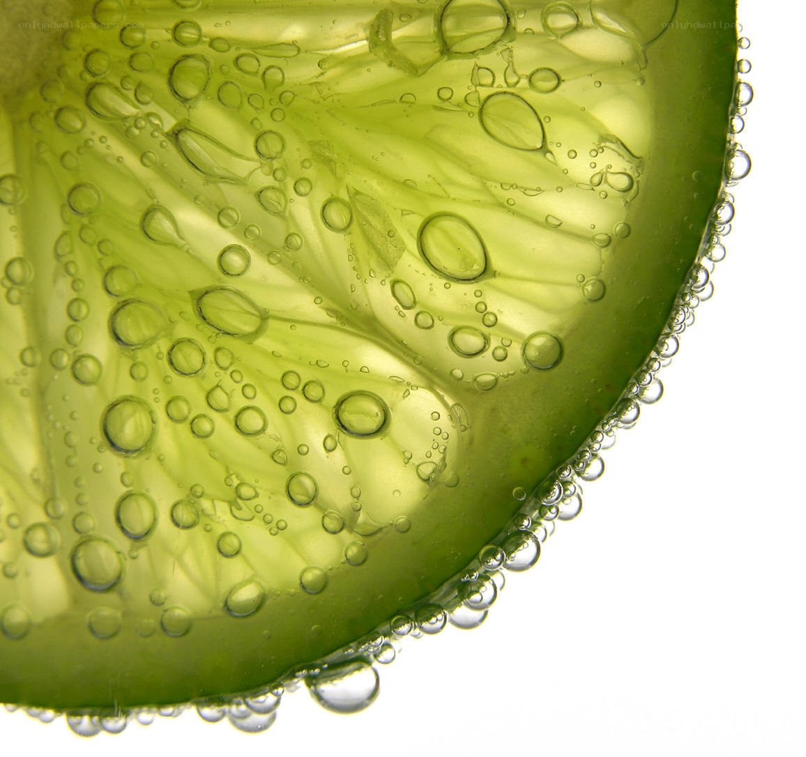 Lime slice in carbonated water