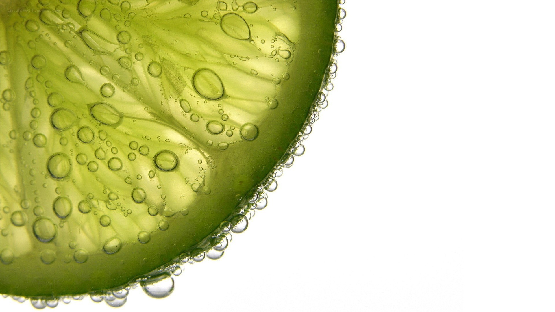 Lime slice in carbonated water