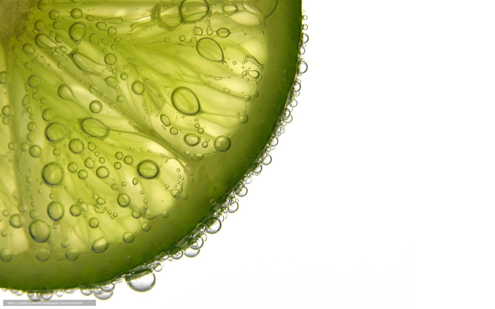 Lime slice in carbonated water