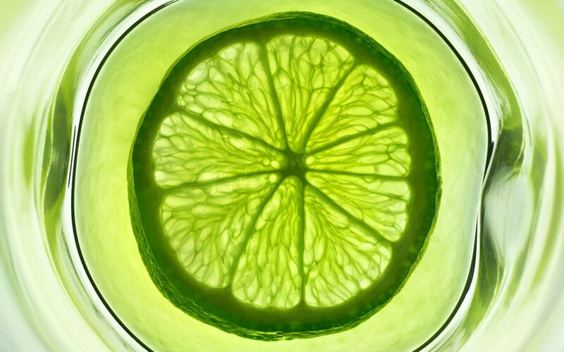 Lime Slice in Glass — Green, Calm