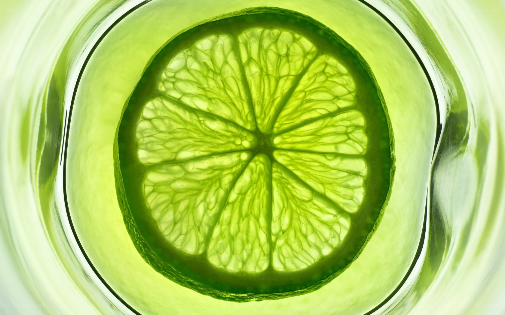 lime slice in glass