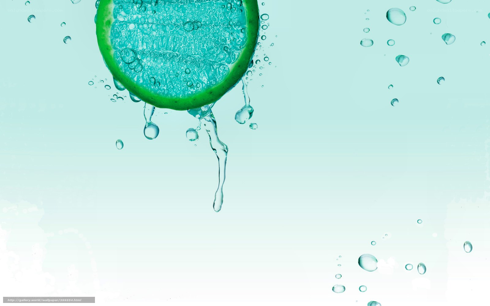 lime slice in water
