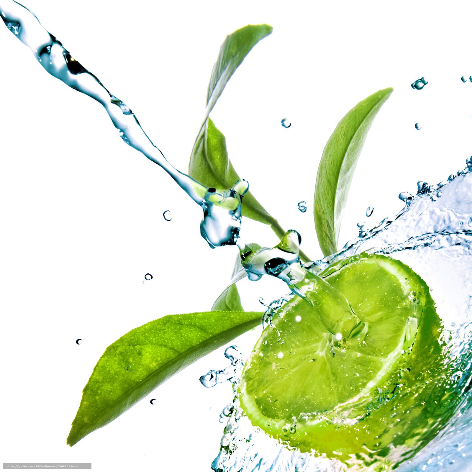 lime slice with water splash