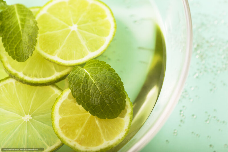 Lime Slices and Mint Leaves