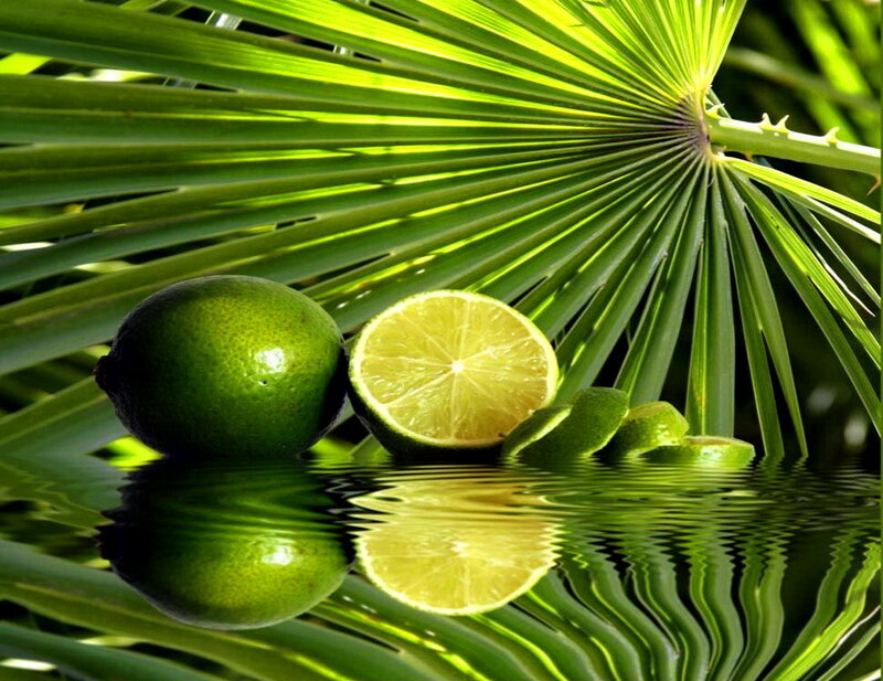 Limes on Water