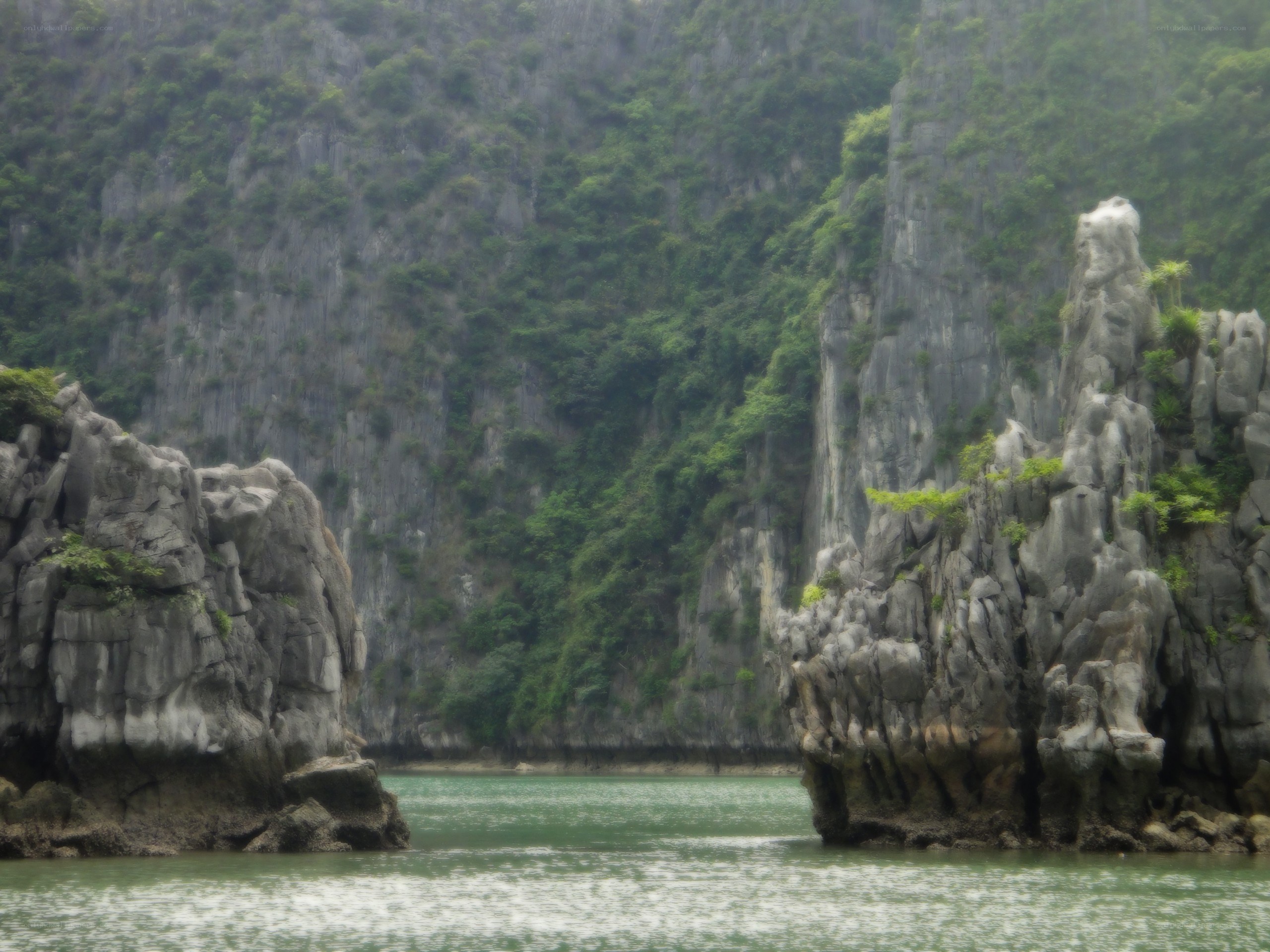 Limestone cliffs in a bay