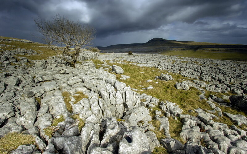 Limestone karst landscape