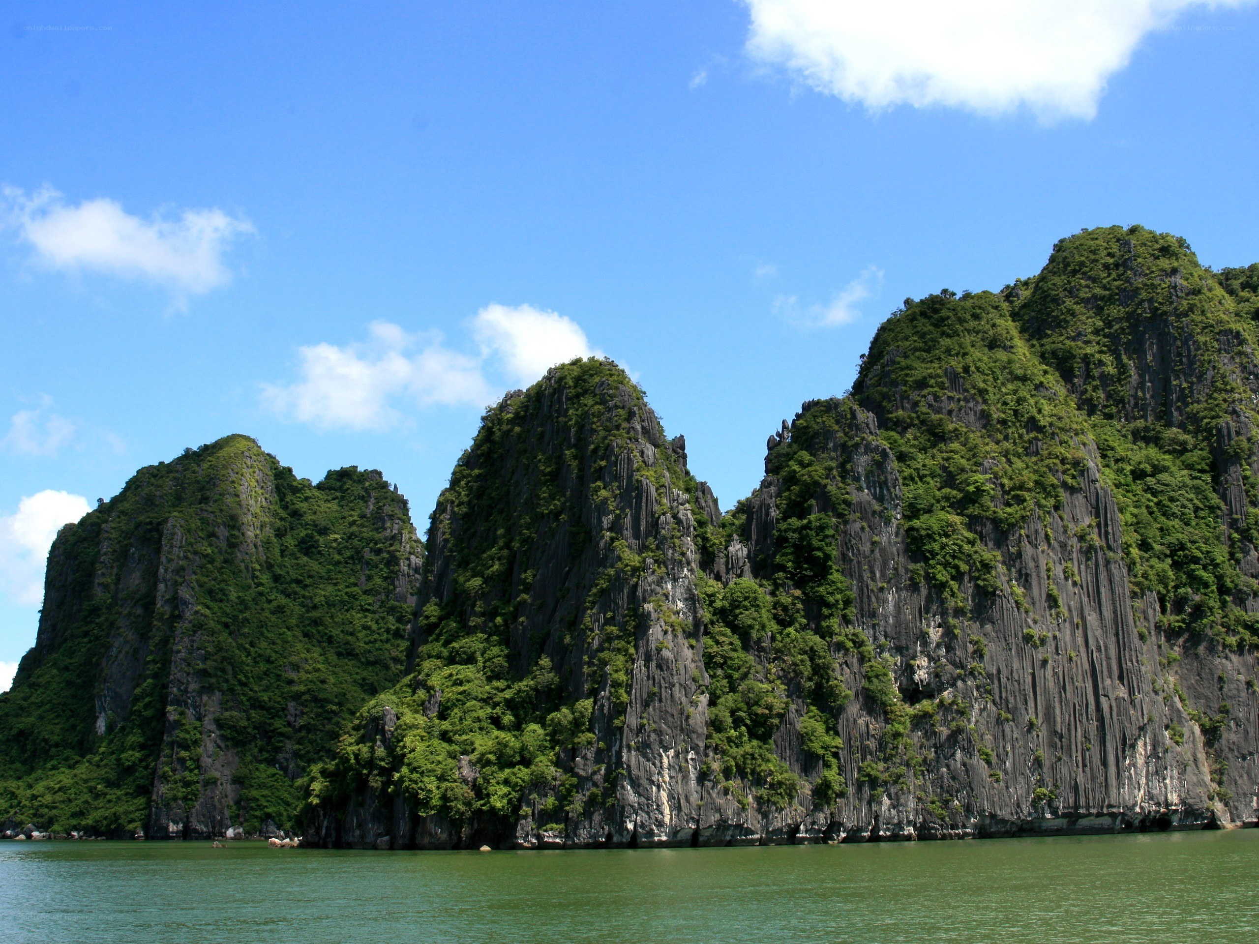 Limestone karsts in Ha Long Bay
