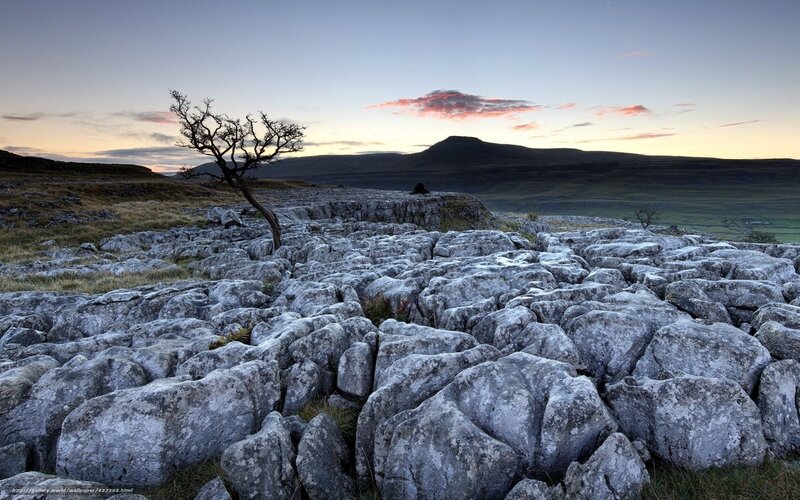 Limestone pavement at dawn