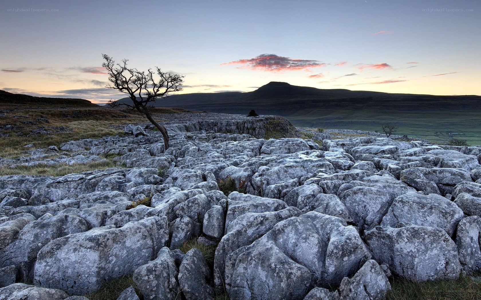 Limestone pavement at dusk