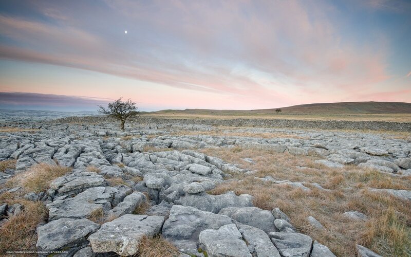 Limestone pavement at dusk