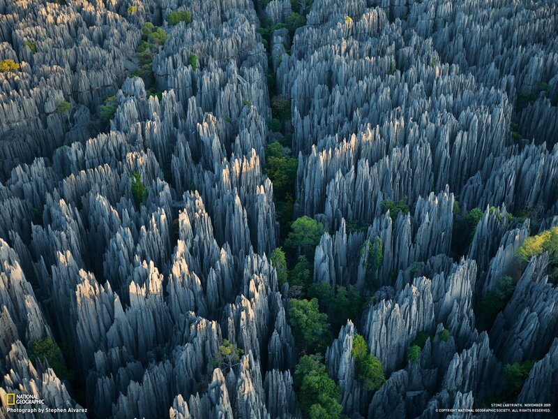 Limestone Pillars in Forest