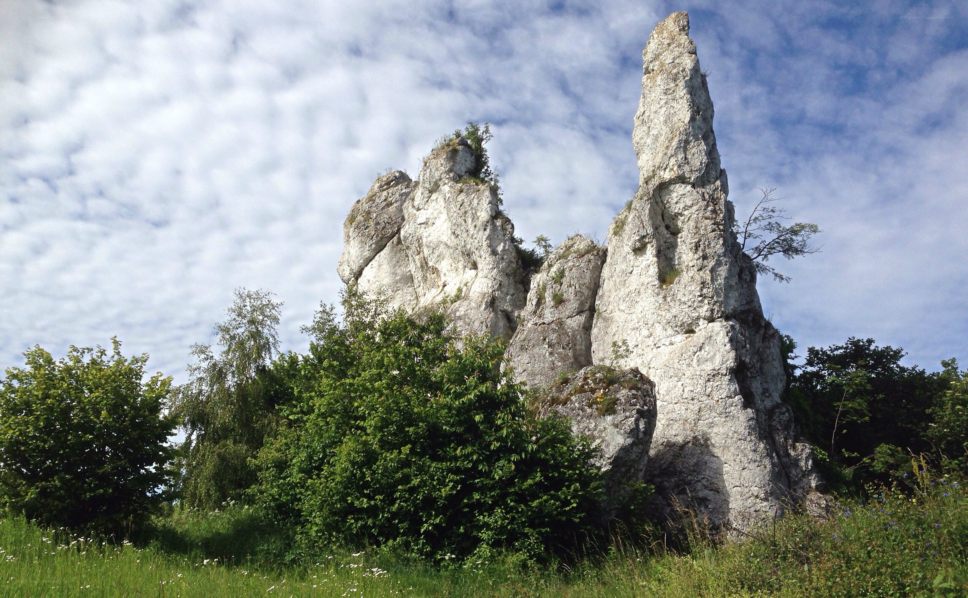 Limestone rock formations in Poland