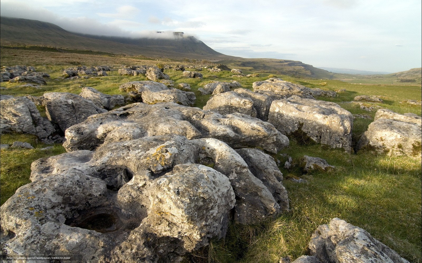 Limestone rocks in a grassy field