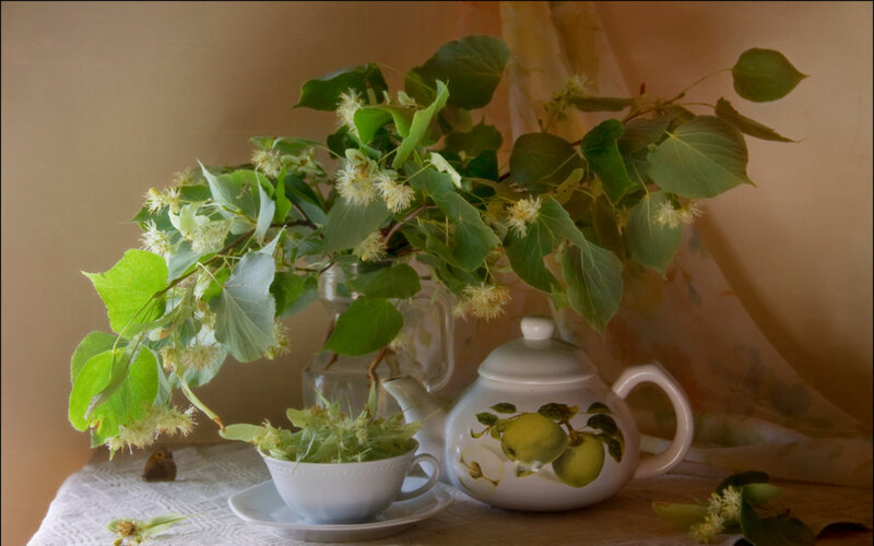Linden Branch in Teacup