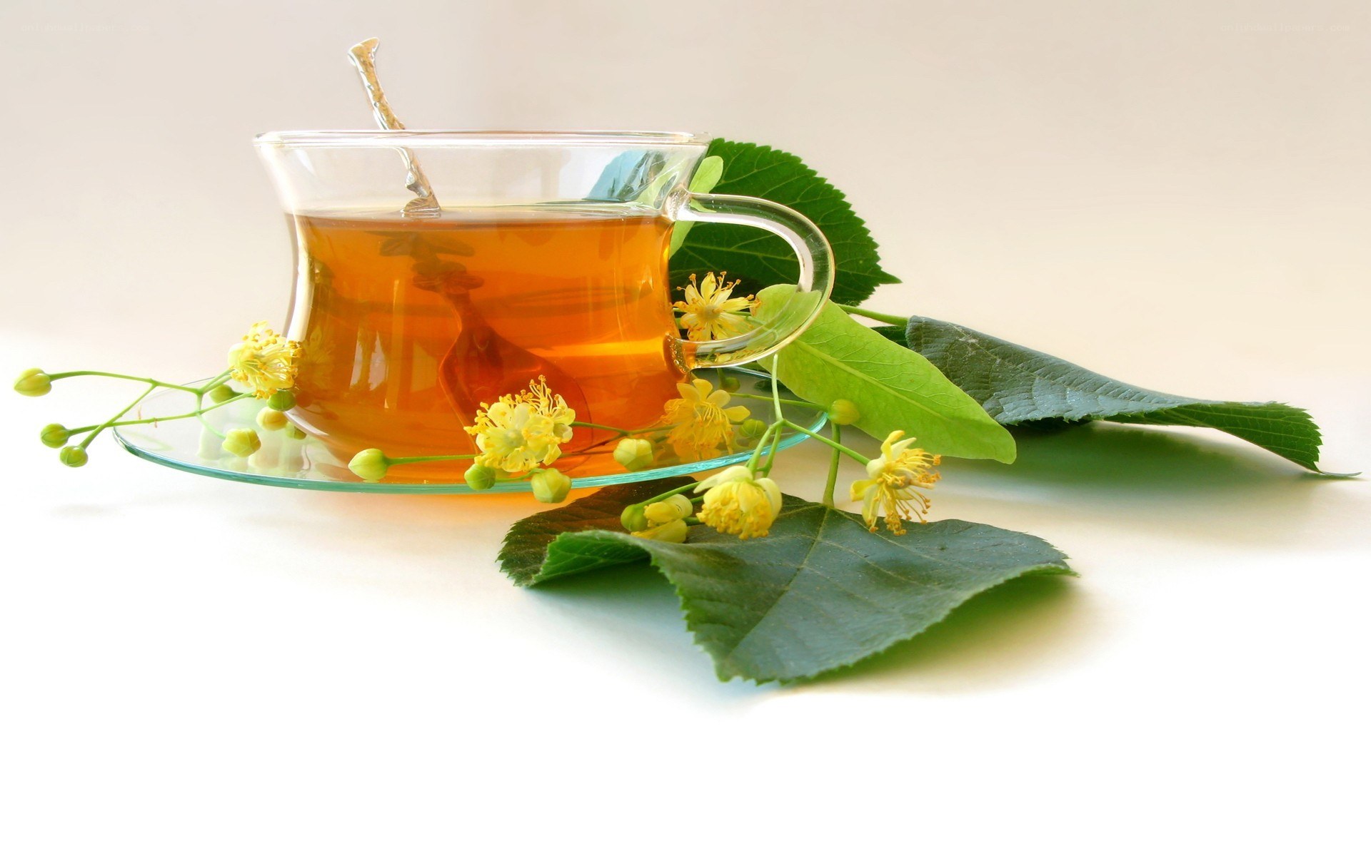 Linden tea with flowers