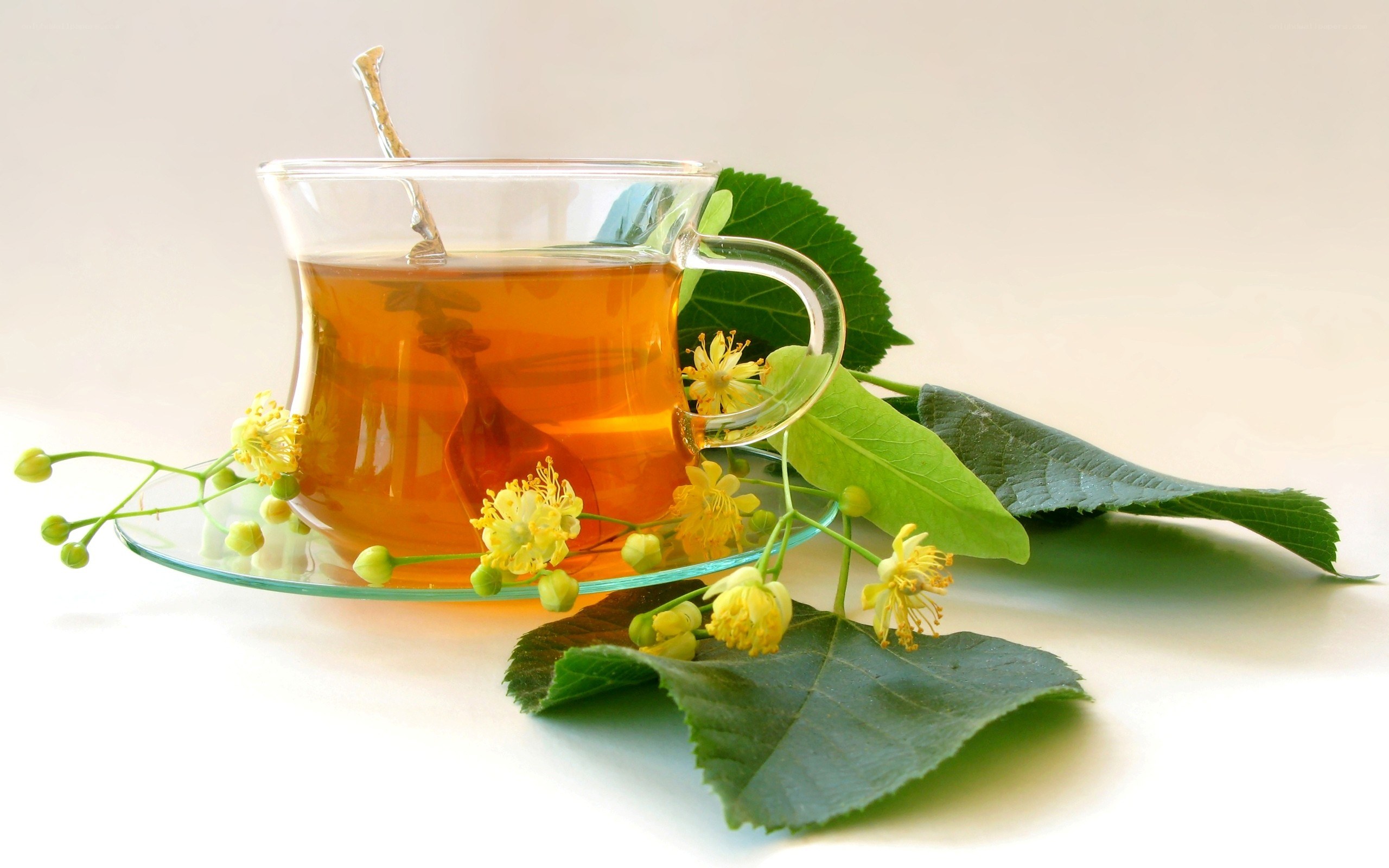 Linden tea with flowers