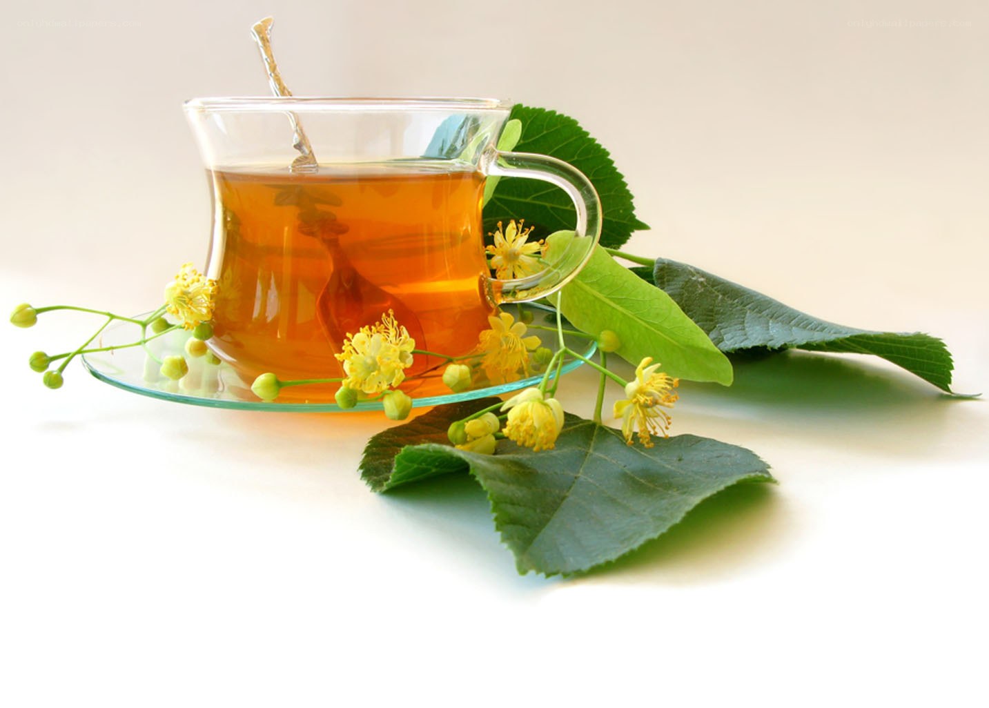 Linden tea with flowers
