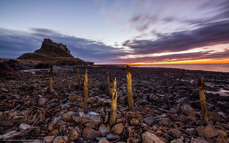 Lindisfarne Castle — Purple