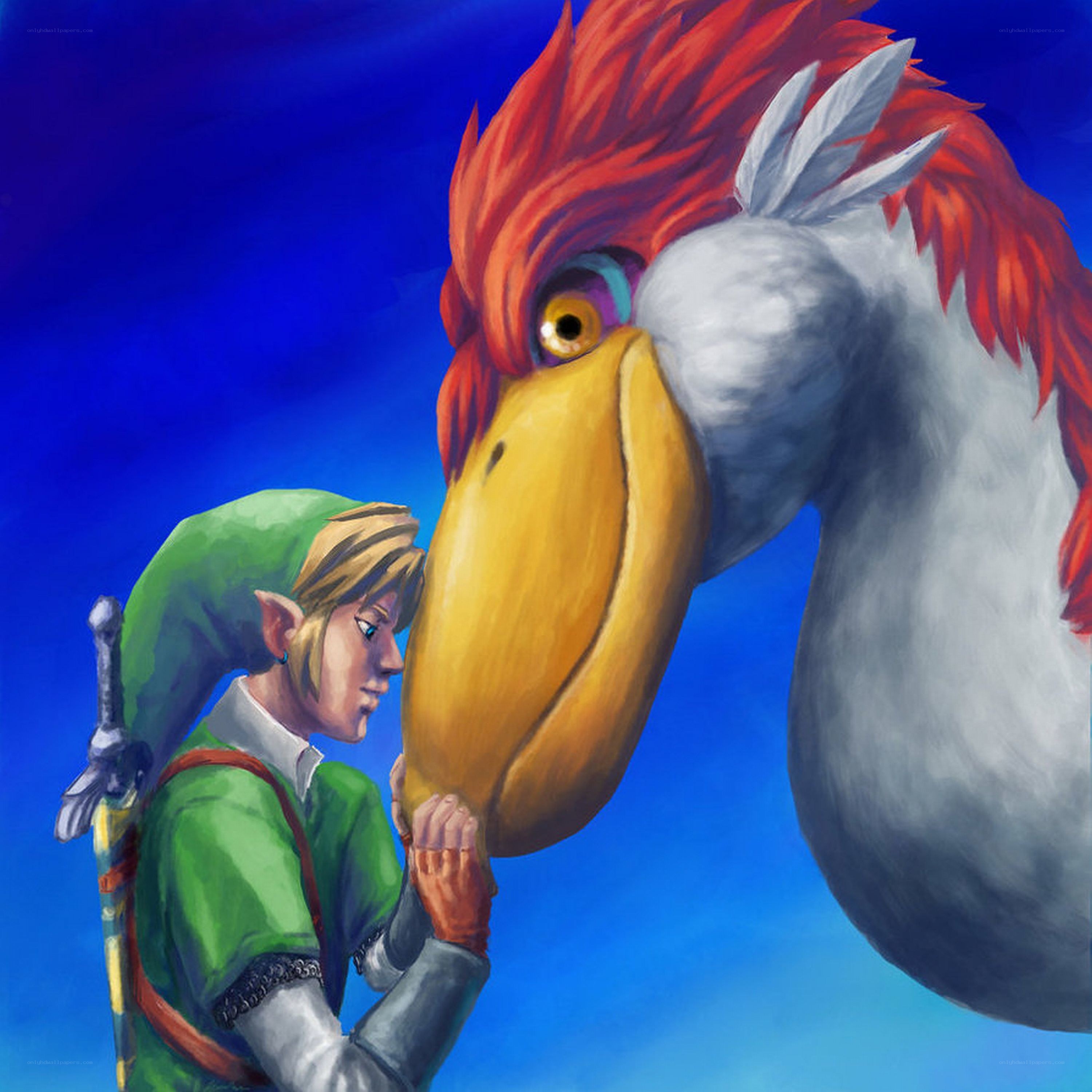 Link and the bird companion