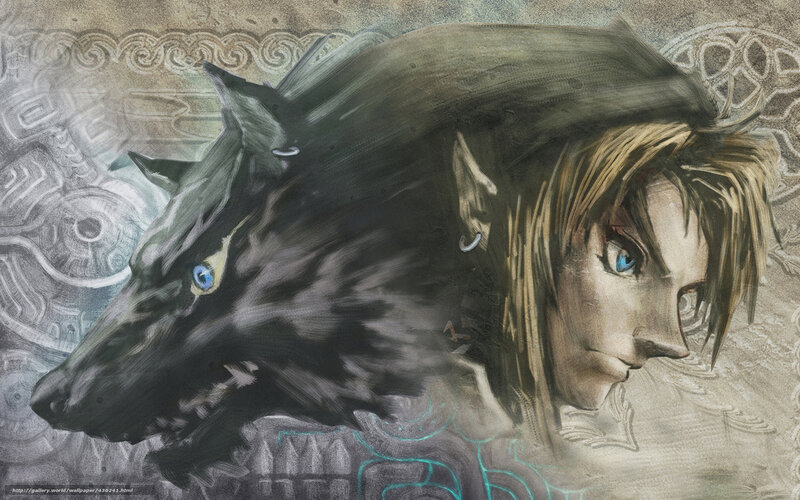 Link and Wolf Artwork