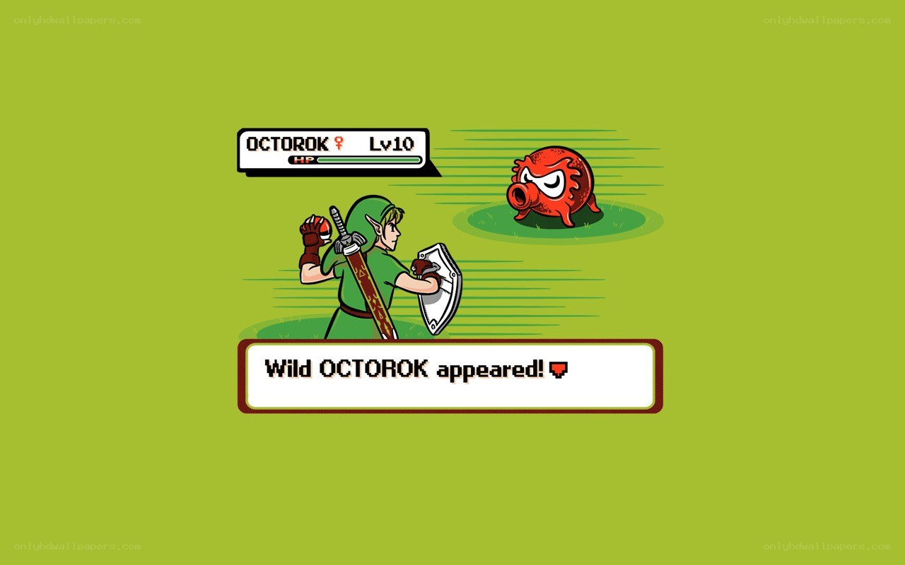Link battles a wild OctoRok