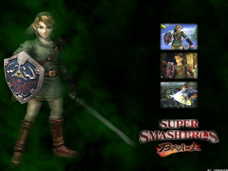 Link from Super Smash Bros. Brawl
