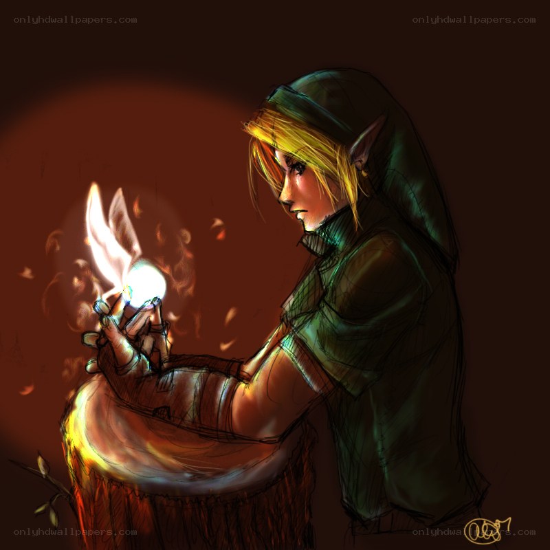 Link holding a light orb